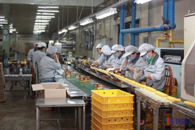 LCIA簡(jiǎn)易自動(dòng)化 LCIA簡(jiǎn)易自動(dòng)化